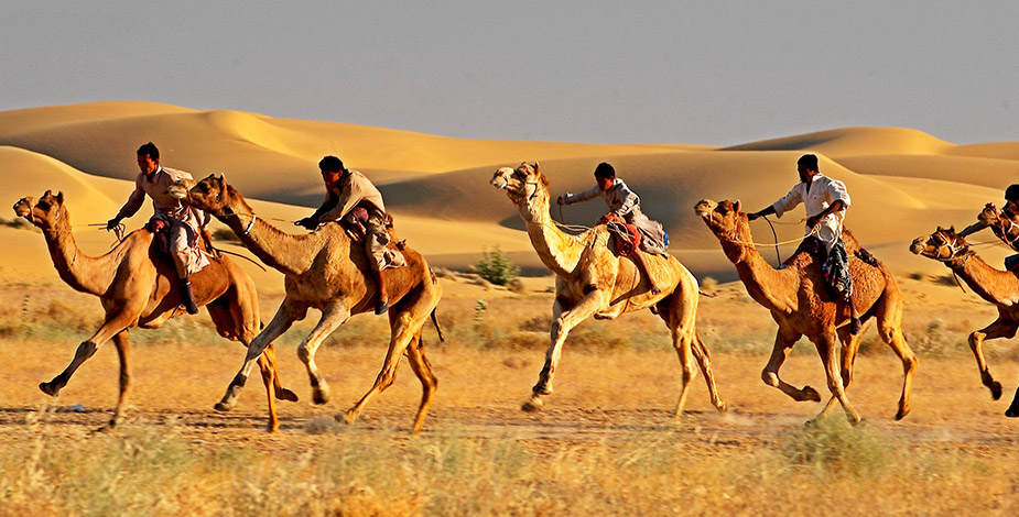 Camel Race, Jaisalmer