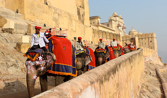 Amber Fort by Elephant, Jaipur